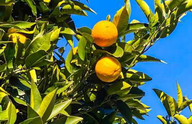 Casa Bijoux - Foto 34