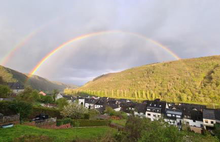 Pension mit Moselblick - Foto 48