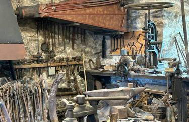 Nibelungen 4 Zimmer Apartment - Foto 72