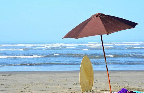 Sea Scallop - Foto 19