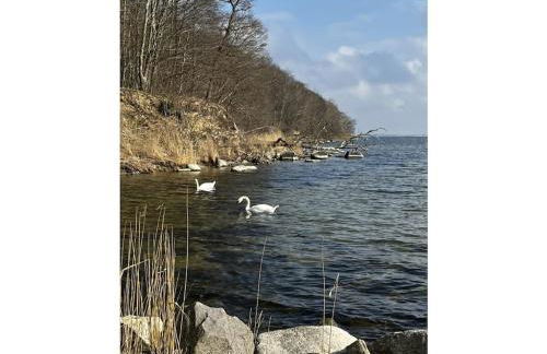 Penthouse sea view - Foto 18