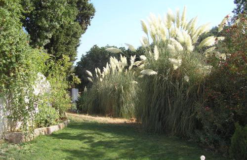 Finca La Favorita- Suites - Foto 67