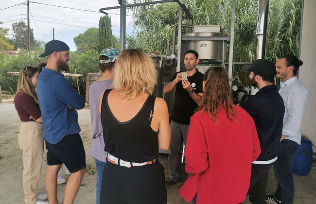 Provençal Lavender Farm Tour - Foto 3