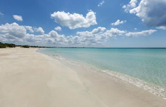 2867 Casa Sole Mio by Barbarhouse - Photo 22