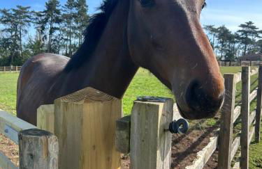 The Coach House, Barrells Court - Foto 27