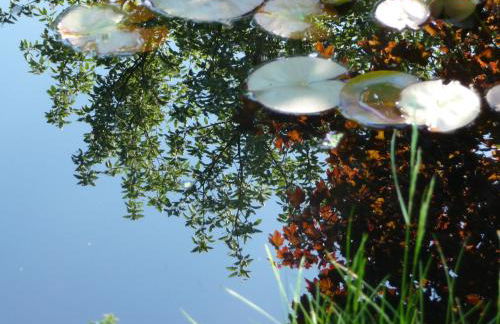 Apartment am Lühedeich - Foto 29