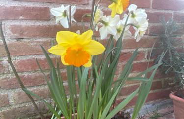 Casa Isabelle - Foto 42