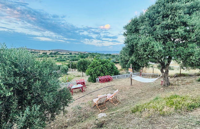 Zeus kır evi - Foto 47