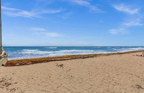 Dania Beach Christmas Retreat Museums Food - Photo 32