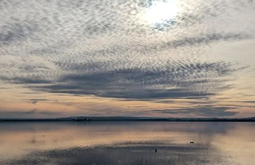Poggenhagen Urlaub mitten in der Natur - Foto 19