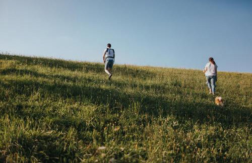 Pasieka - Dom Wypoczynkowy - Foto 36