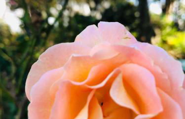 Downe Cottages - Foto 60