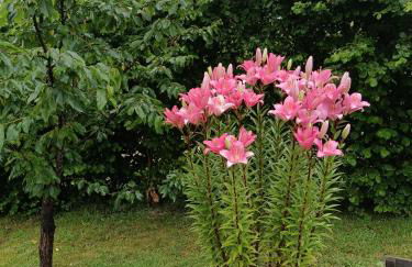 Maison chaleureuse en Ariège - Foto 19