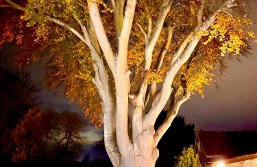 Octon Cottages Luxury 1 and 2 Bedroom cottages 1 mile from Taunton centre - Foto 28