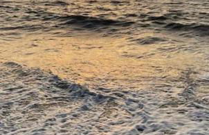 Crown Cove - Foto 21