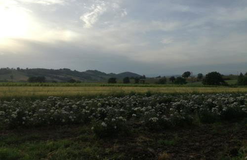 Agriturismo cavallin del papa - Foto 38