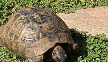 Rifugio Storico sul Mare - Foto 2