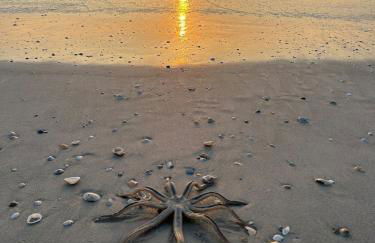 Relaxing Condo with Heated Pool - Foto 21