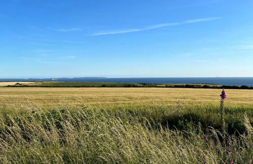 Wood Cottage - Photo 31