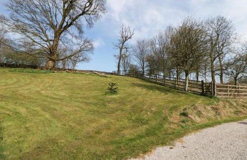 Slade Tops - Foto 23