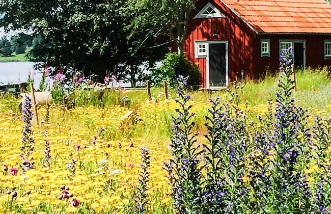 2 Person Holiday Home in Bello-by Traum - Foto 22