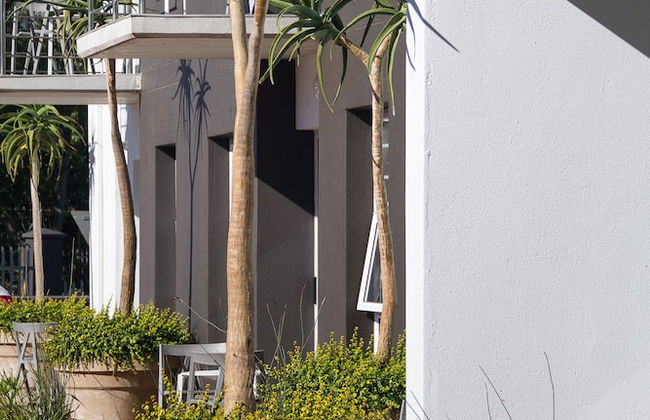 WINK Quiver Tree - Foto 57