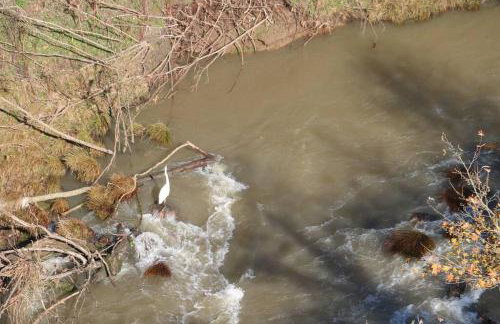 ZenTerra Country house with prive swimming pool and view - Foto 9