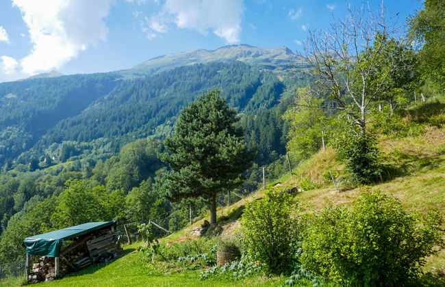 Rustico Girasole - Foto 22