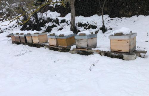 Bee Home - Foto 38