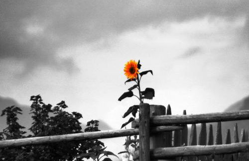 Panorama-Apartments Oberkofl - Photo 64