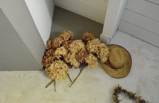 Forest Cottage, Jehonville - Photo 24