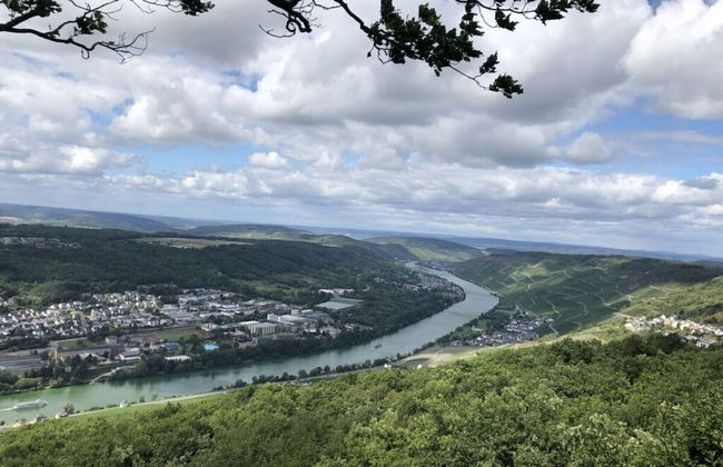 Uitzicht op de Wijngaard - Photo 19