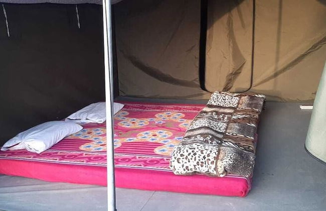 Pine Hills Nature Camp - Foto 3