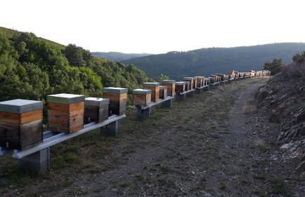 Apimonte City House A - Foto 48