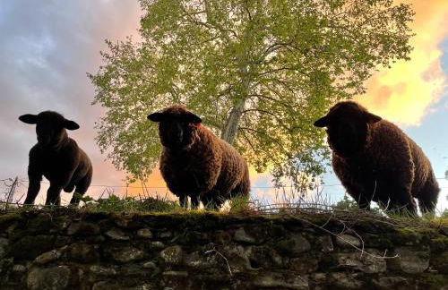 Quinta do Areal - Foto 41