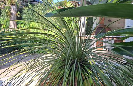 Toque-Toque Grande - Conforto, Charme e Tranquilidade! - Foto 47