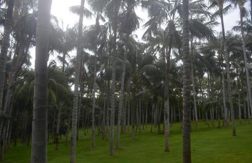 THE TEIDES WINDOW swimming pool LA VENTANA DEL TEIDE - Foto 38