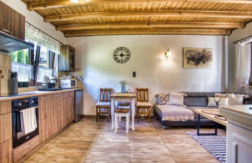 Bieszczady Żubrowe Wzgórze 785-049-543 - Foto 47