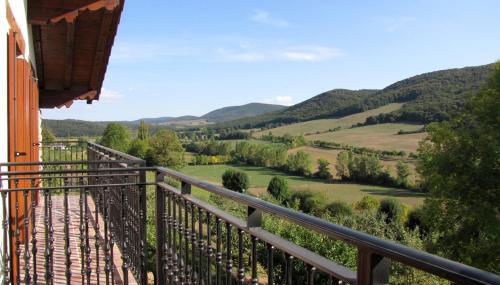 Sagardikoetxea II - Foto 3, Garden