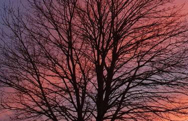 Fewo Tina und Günni - Foto 35