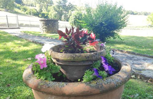 Villetta con giardino - Foto 5