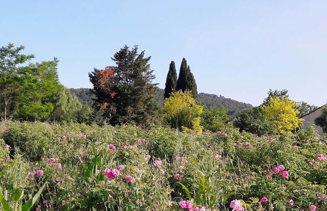 La Maison de Noélie - rez de jardin - Foto 52