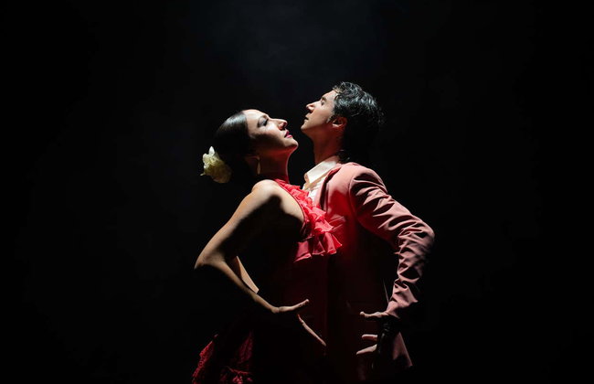 Olé Flamenco Show - Foto 4