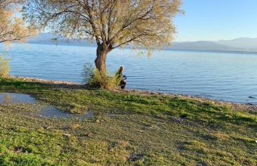 Holidays Pelion studio - Foto 19