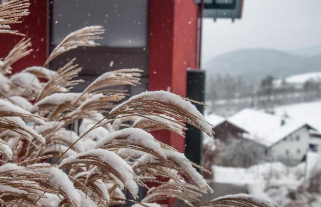 Ferienhaus mit Sauna im Bayerischen Wald - Photo 28