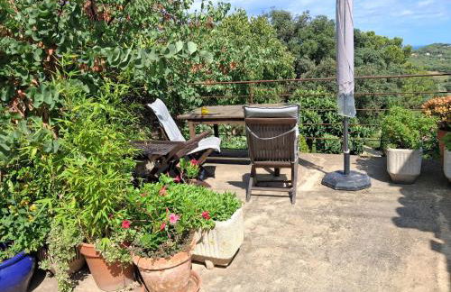 ESTUDIO RENOVADO CON BALCON PRIVADO Y COCINA vistas al mar TAMARIU y BEGUR - Foto 59