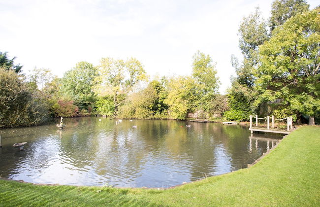 OYO Elm Farm Country House, Norwich Airport - Photo 42