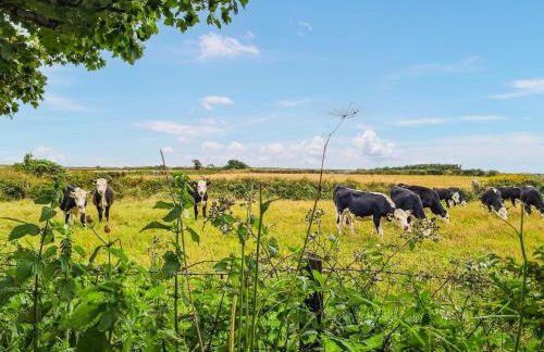 Carnlussack Cottage - Foto 25