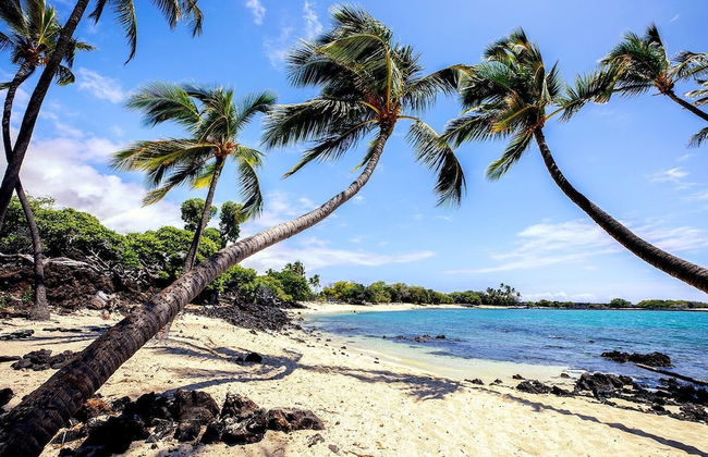 Kona Pacific A102 - Foto 21