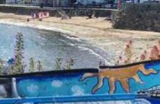 The Holiday Hoose - Foto 53